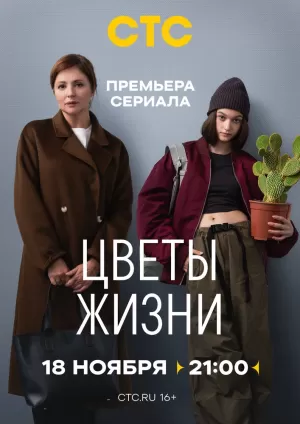 Цветы жизни (1 сезон 1-8 серия) (2024) скачать торрент