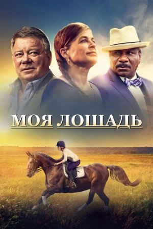 Моя лошадь (2015) скачать торрент